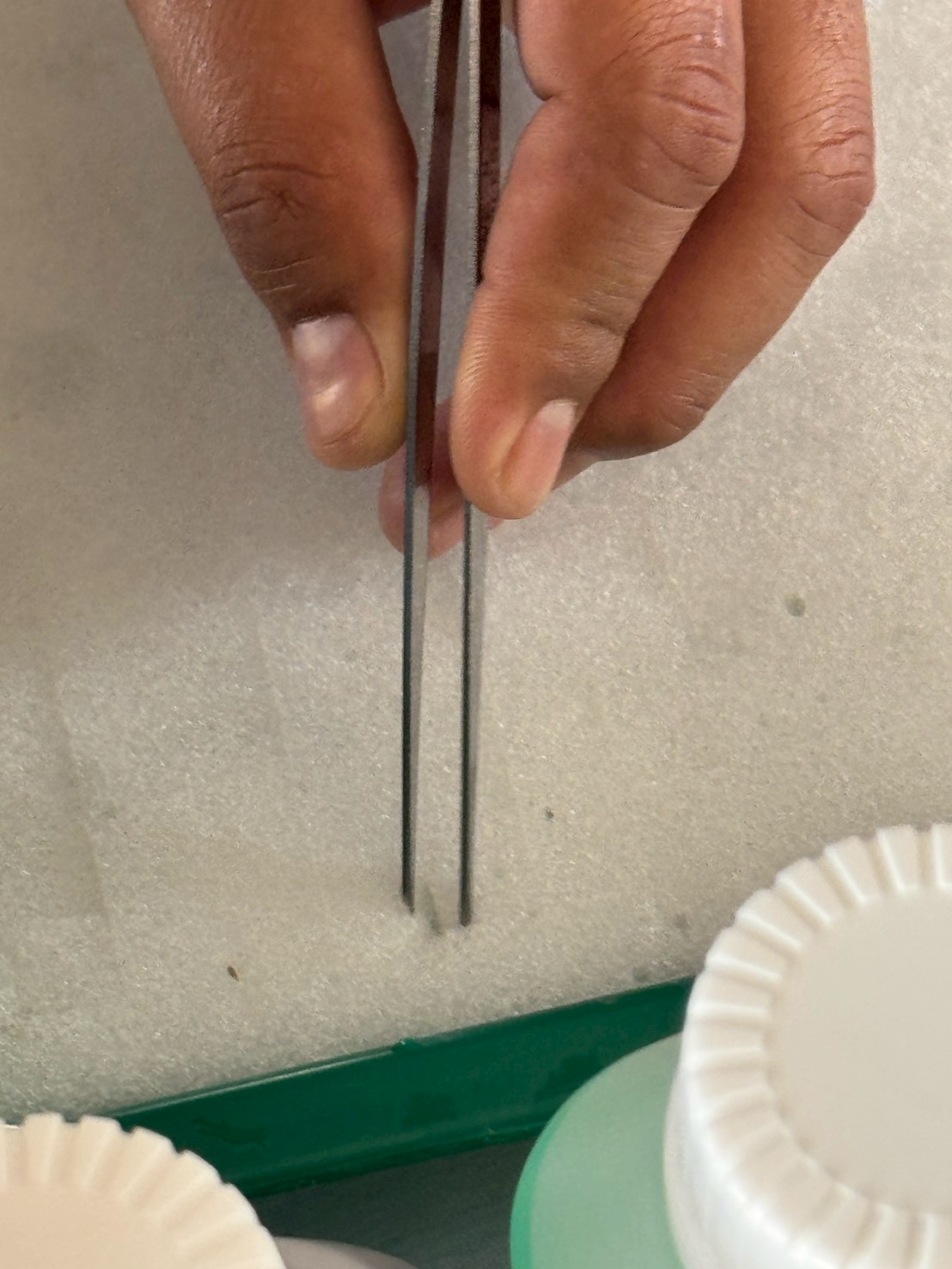 title - ส.ป.ก.จันทบุรี ดำเนินการฝึกอบรม โครงการเพิ่มศักยภาพระบบงานเกษตรภายใต้แผนพัฒนาเด็กและเยาวชนในถิ่นทุรกันดาร ตามพระราชดำริ สมเด็จพระเทพรัตนราชสุดาฯ สยามบรมราชกุมารี ประจำปีงบประมาณ พ.ศ. 2569 